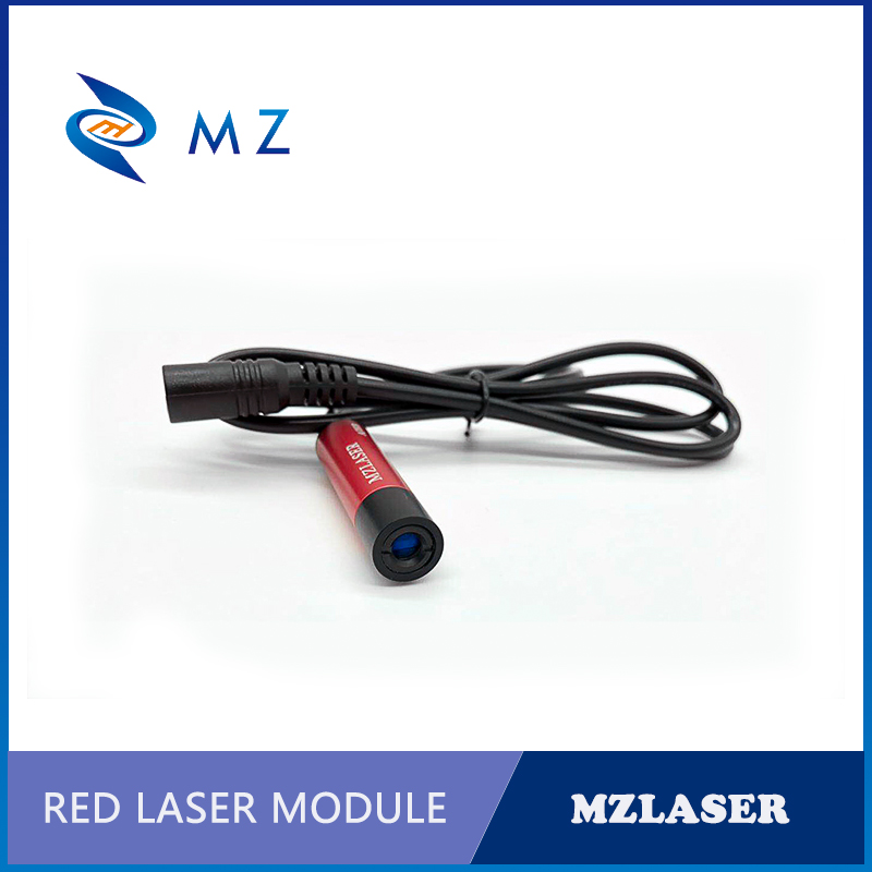 Modulo laser punto rosso con m - Industrial Laser Pointer recensione e prezzo