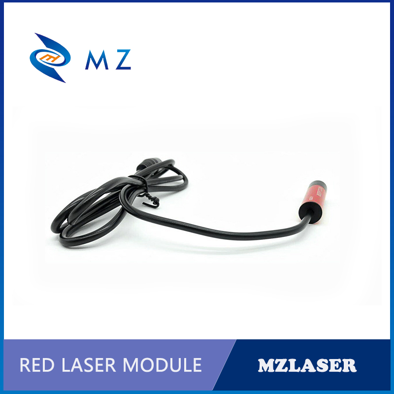 Modulo laser punto rosso con m - Industrial Laser Pointer recensione e prezzo