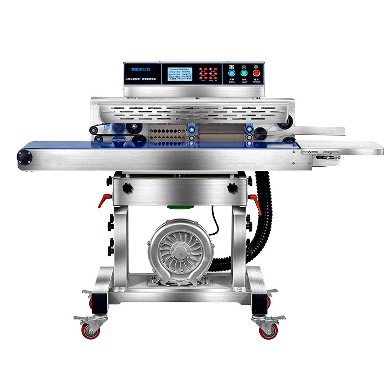 Macchina Sigillatrice Sottovuo - Industrial Laser Printing Machine recensione e prezzo